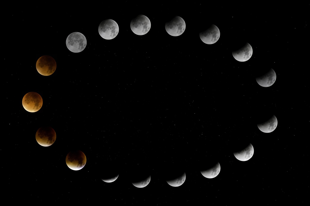 Phases of the moon 