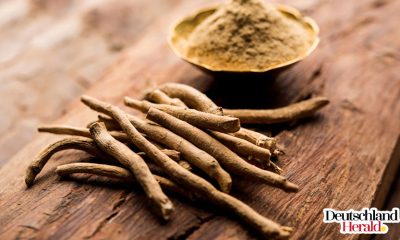 How Much Ashwagandha Per Day For Testosterone